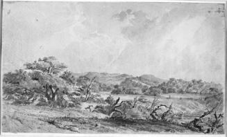 Near Fredricksburg, Comanche Country Texas