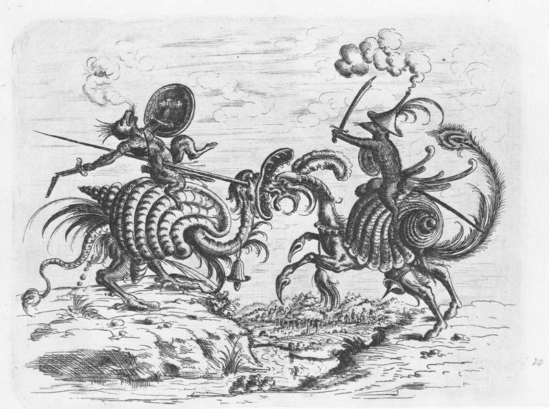 Plate 20