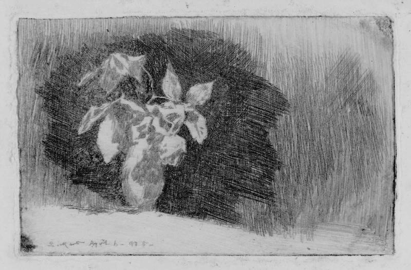 Vase of Flowers