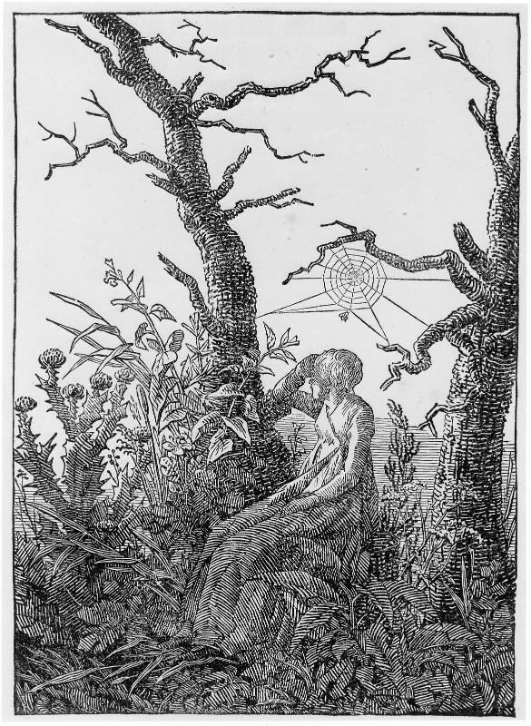 Seated Woman with a Spider's Web