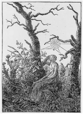 Seated Woman with a Spider's Web
