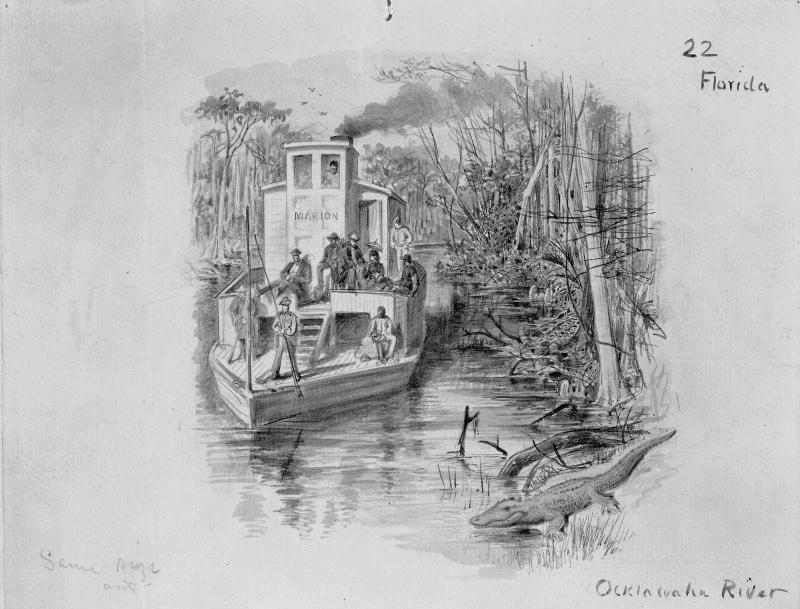 On the Oklawaha, Florida