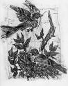 Detail: Birds