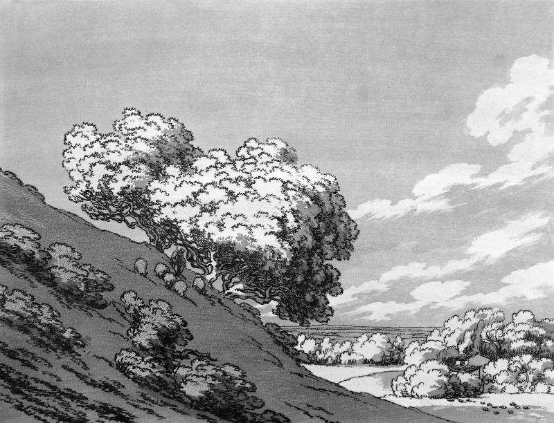 Plate 14