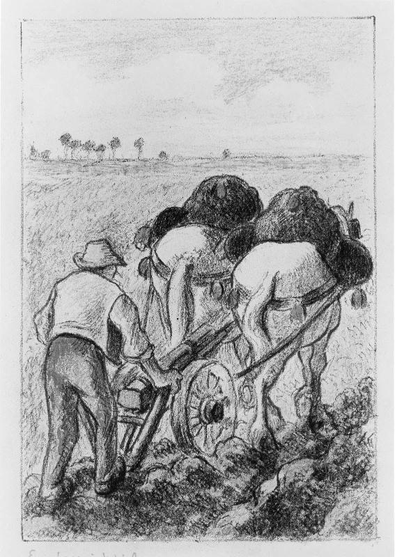 The Plough