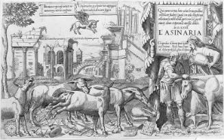 L'Asinaria