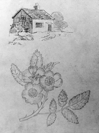 Cottage and Spray of Briars Roses