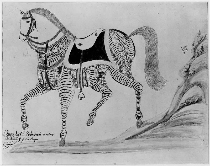 Saddled Horse