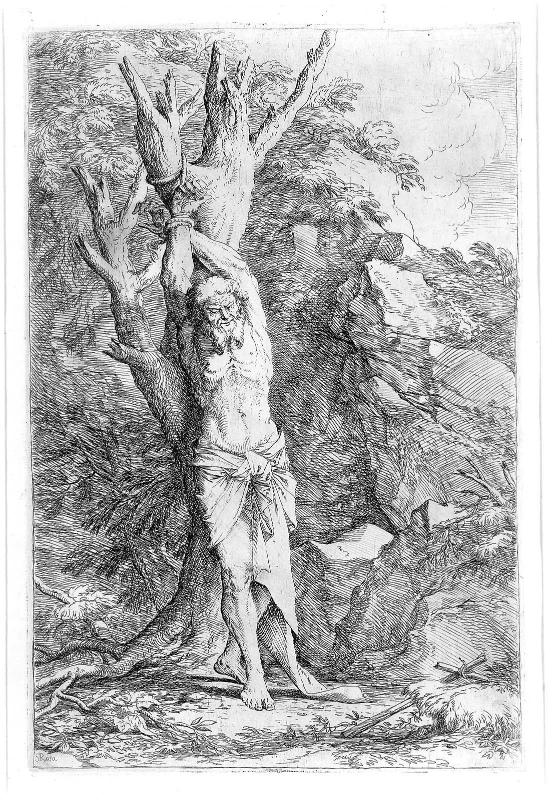 Albert, Companion to St. William