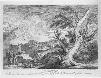 The Auguries