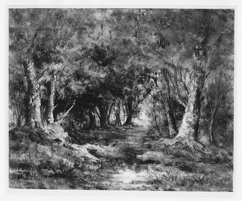 Trees