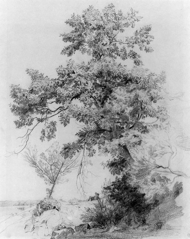 The Leaning Tree