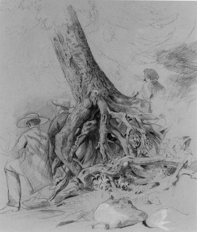 The Uprooted Tree