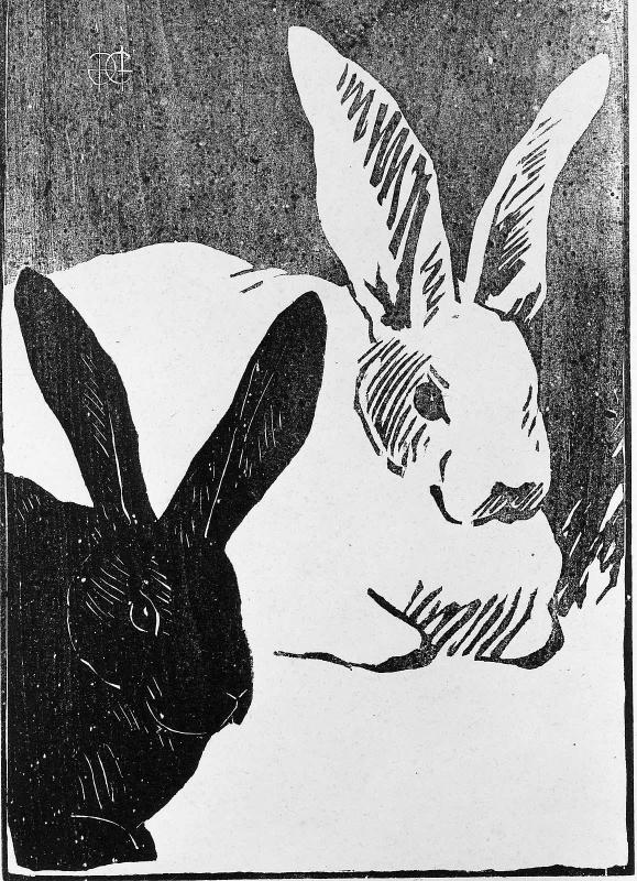 The Rabbits
