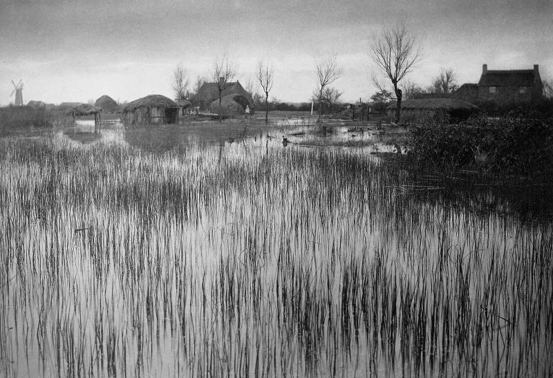 A Rushy Shore from "Life and Landscape on the Norfolk Broads"