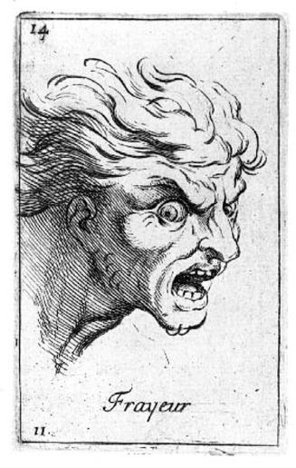 Figure 14:  "Frayeur"