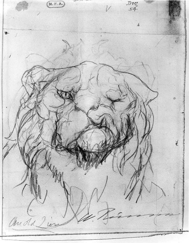 Head of an Old Lion  (On verso: Head of a Bearded Man)