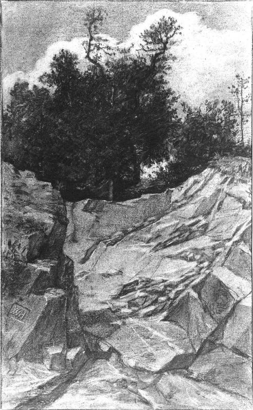The Quarry
