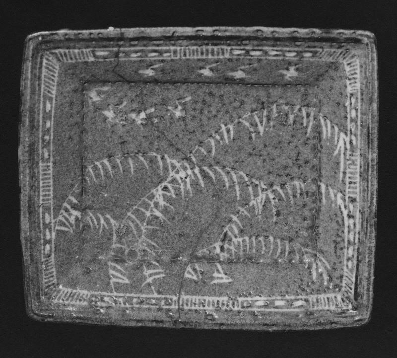 Dish