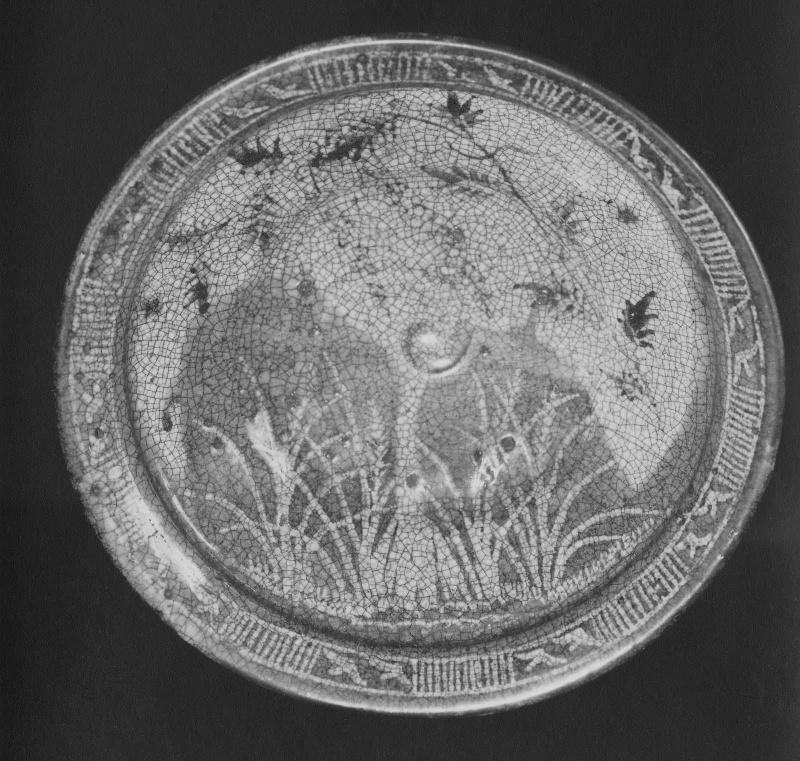 Dish