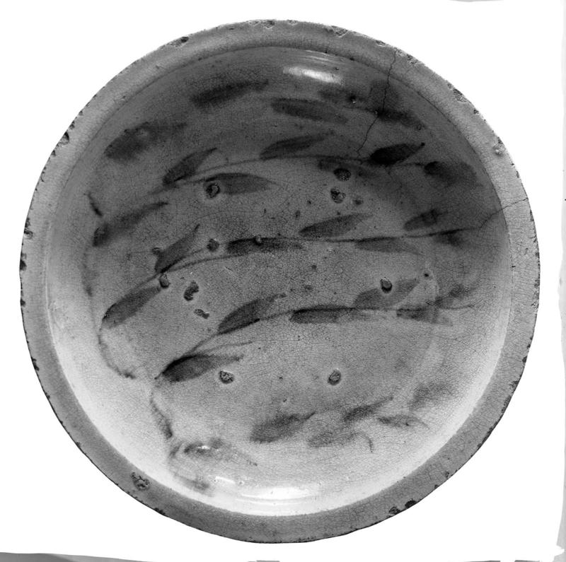Large Dish