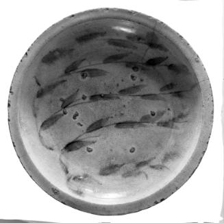Large Dish