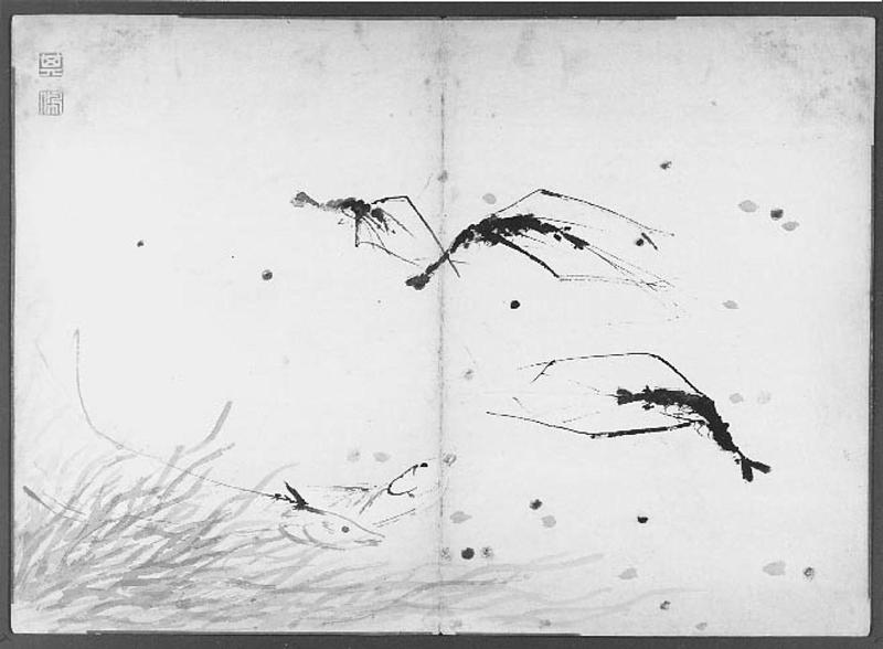 Shrimp and fish among aquatic plants
