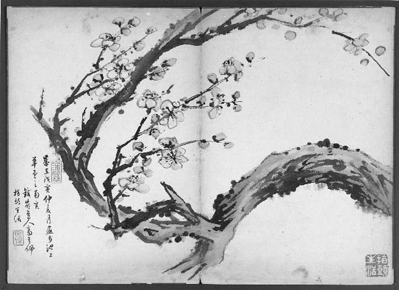 Blossoming plum branch