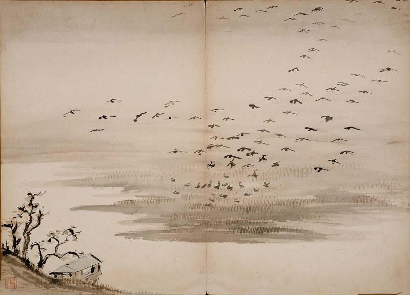 Birds alighting on a foggy marsh