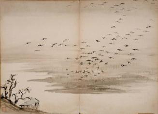 Birds alighting on a foggy marsh