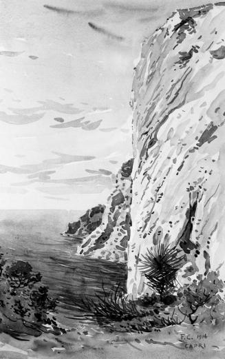 Capri Cliff