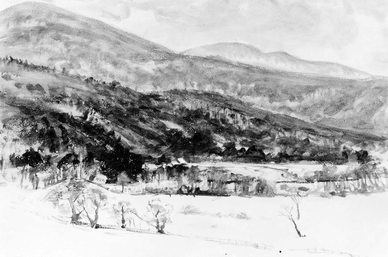 Restricted: For reference only