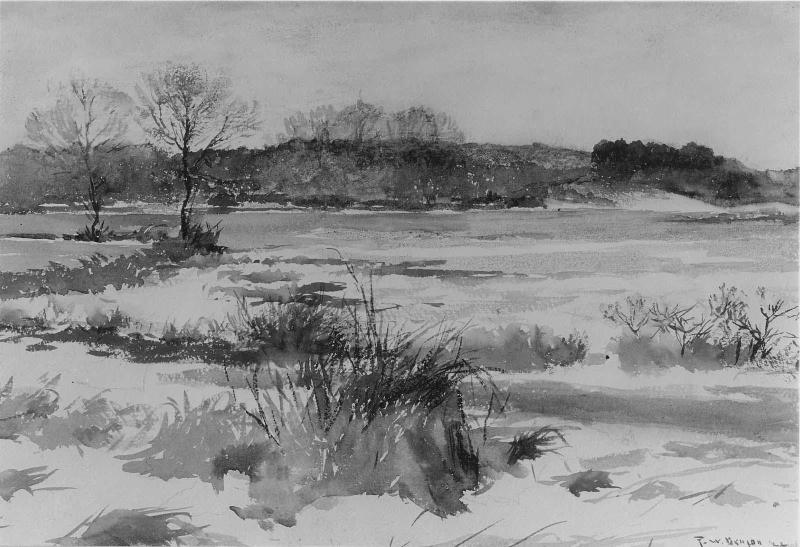 Meadows in Winter
