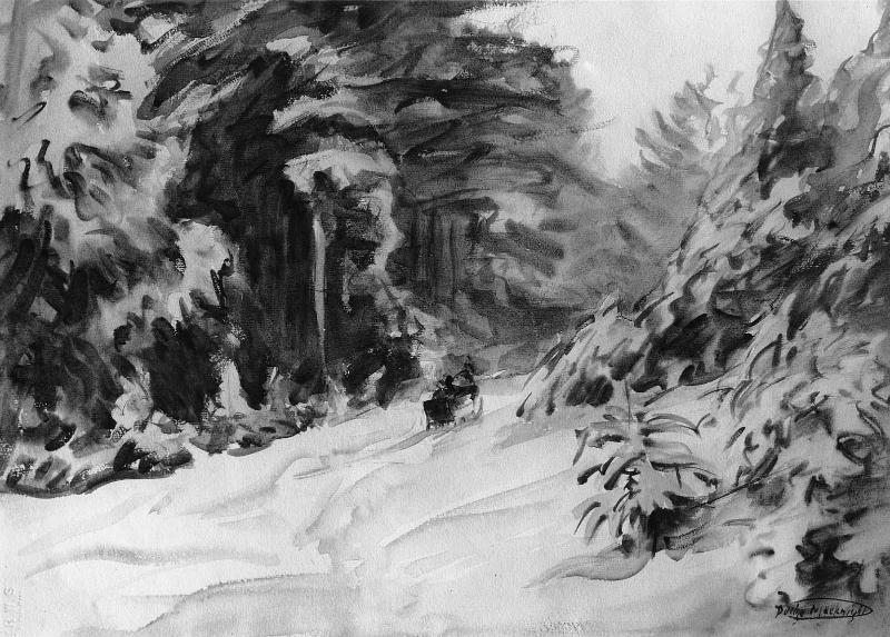 Shelburne Woods, New Hamphire