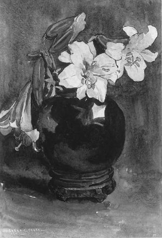 Regal lilies