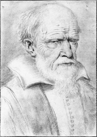 Portrait of an Old Man