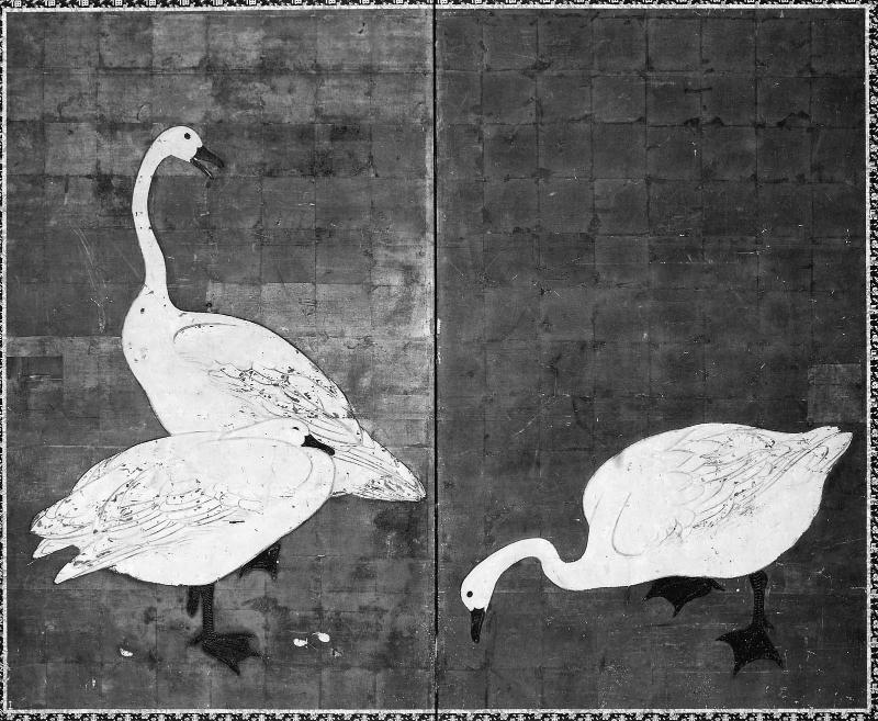 Swans