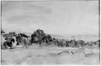 Trees and Rolling Country Landscape
