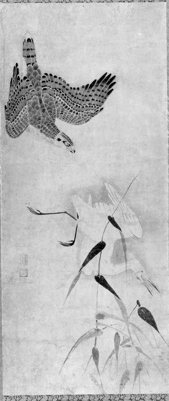 Hawk Pursuing a White Heron