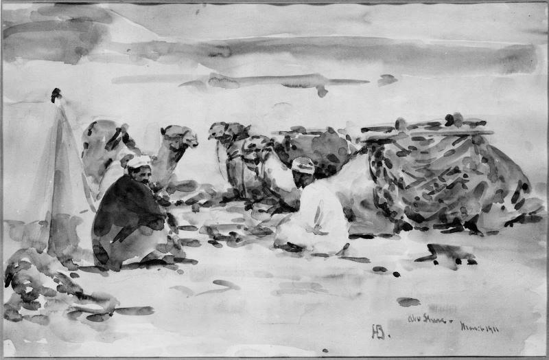 My Camels Resting
