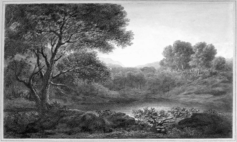 Lake in Wooded Country: Sunset