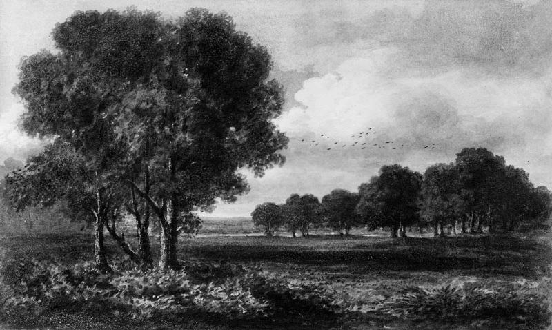 Parkland and Trees