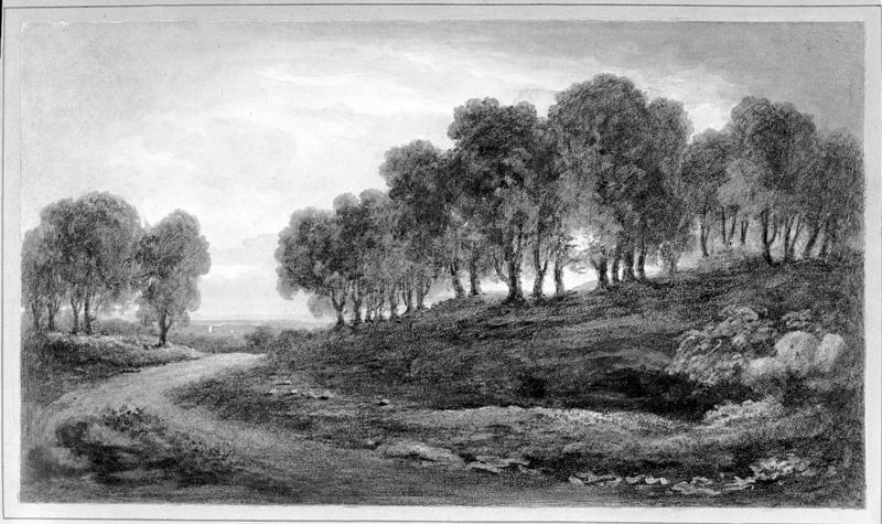 Winding Road with Trees: Sunset
