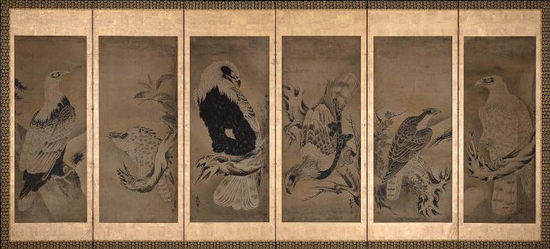 Eagles and Hawks