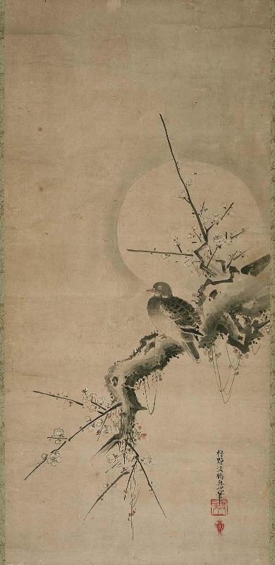 Pigeon on Plum Tree