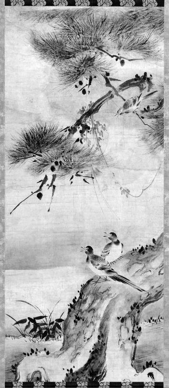 Birds and Pine Tree