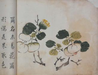 The Ten Bamboo Studio, Volume of Fruit: Branch of apples (?)