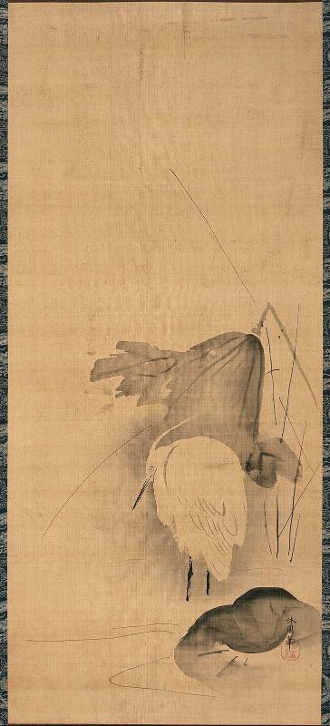 Egret and Lotus