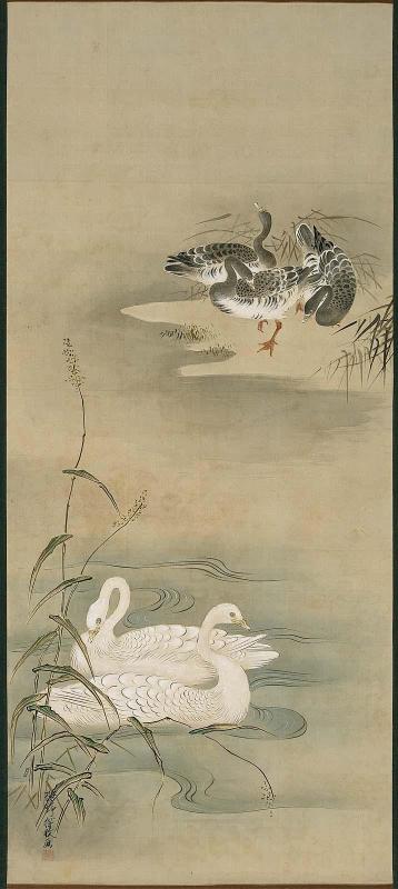 Swans and Geese among Reeds