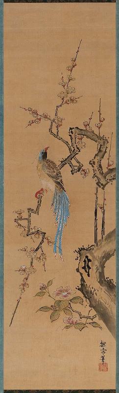 Long-Tailed Bird on a Plum Branch
